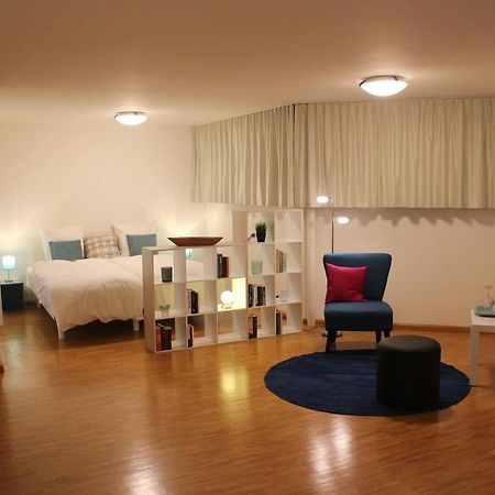 Therwil A Casa Fina- A Modern Room Close To Basel מראה חיצוני תמונה
