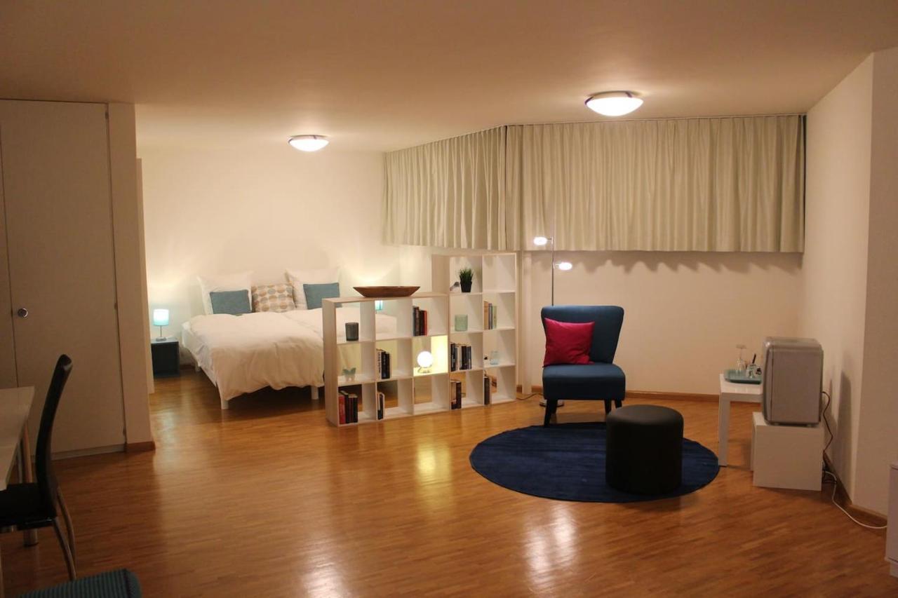 Therwil A Casa Fina- A Modern Room Close To Basel מראה חיצוני תמונה