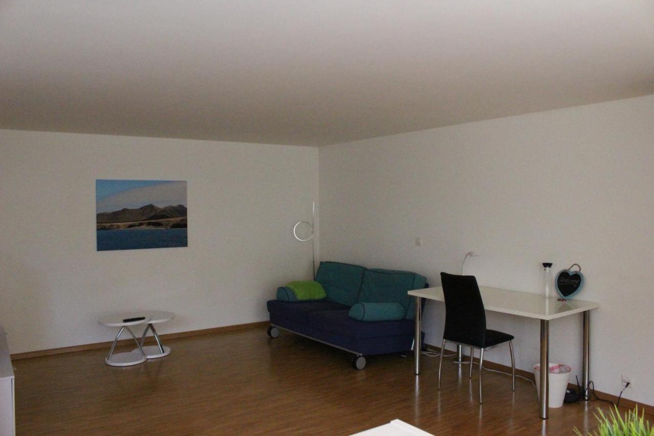 Therwil A Casa Fina- A Modern Room Close To Basel מראה חיצוני תמונה